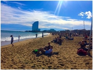 Esei summer offer 1