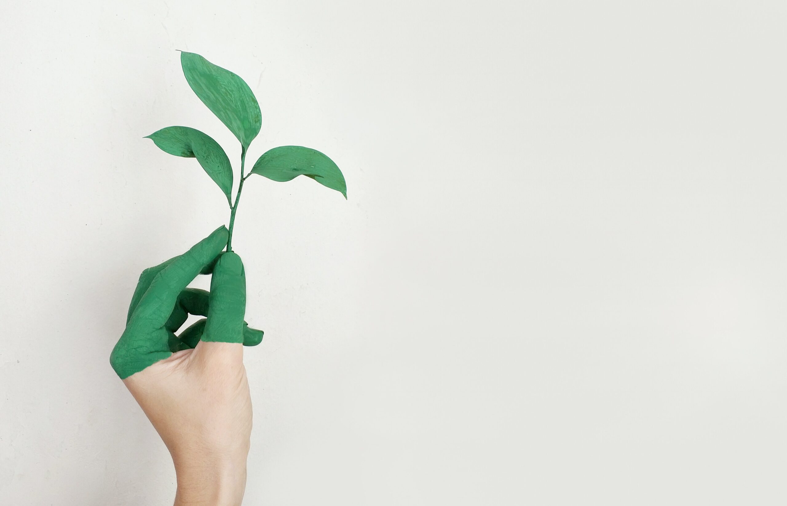 How Companies are Promoting Sustainability