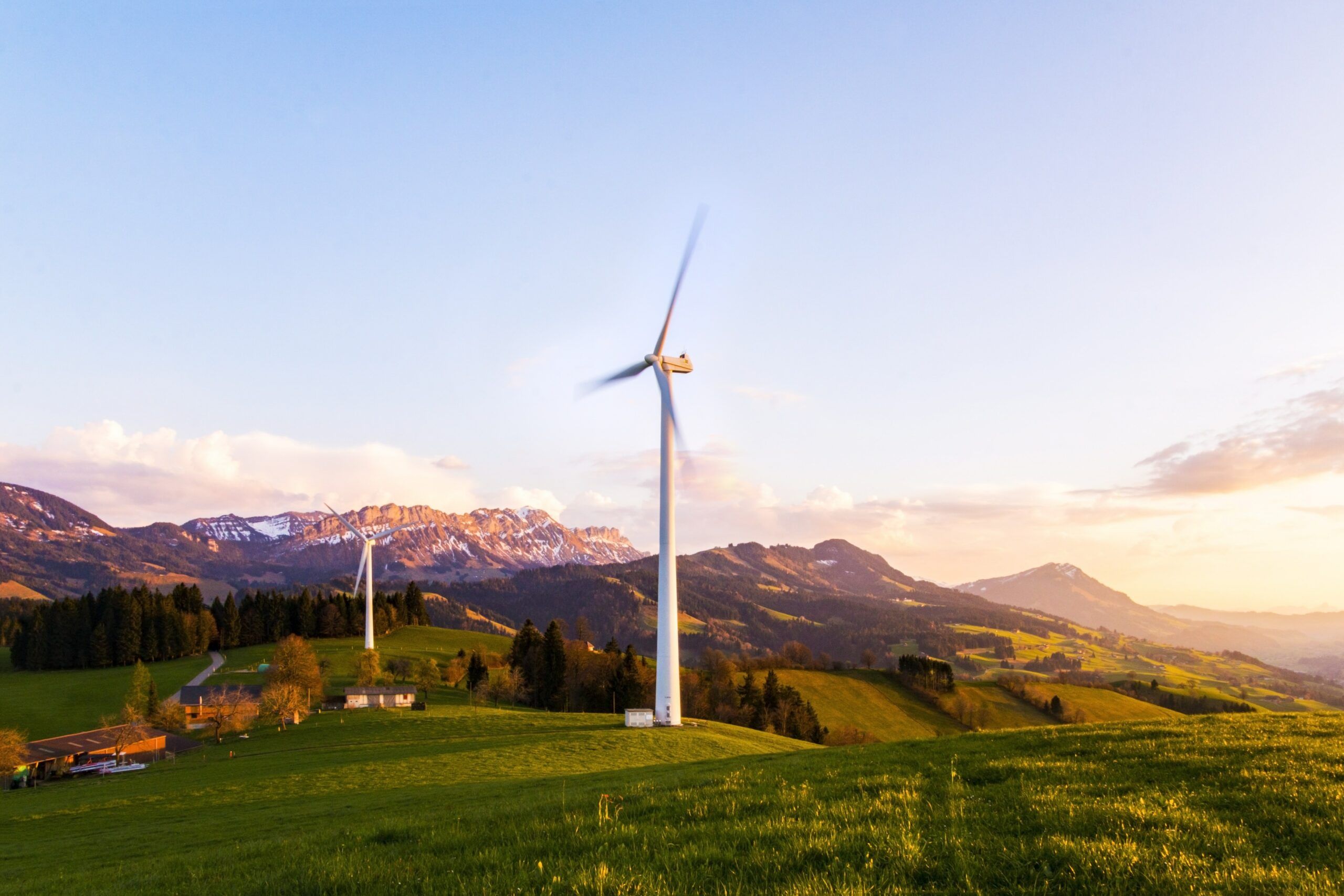 How Governments Can Support Sustainability Efforts
