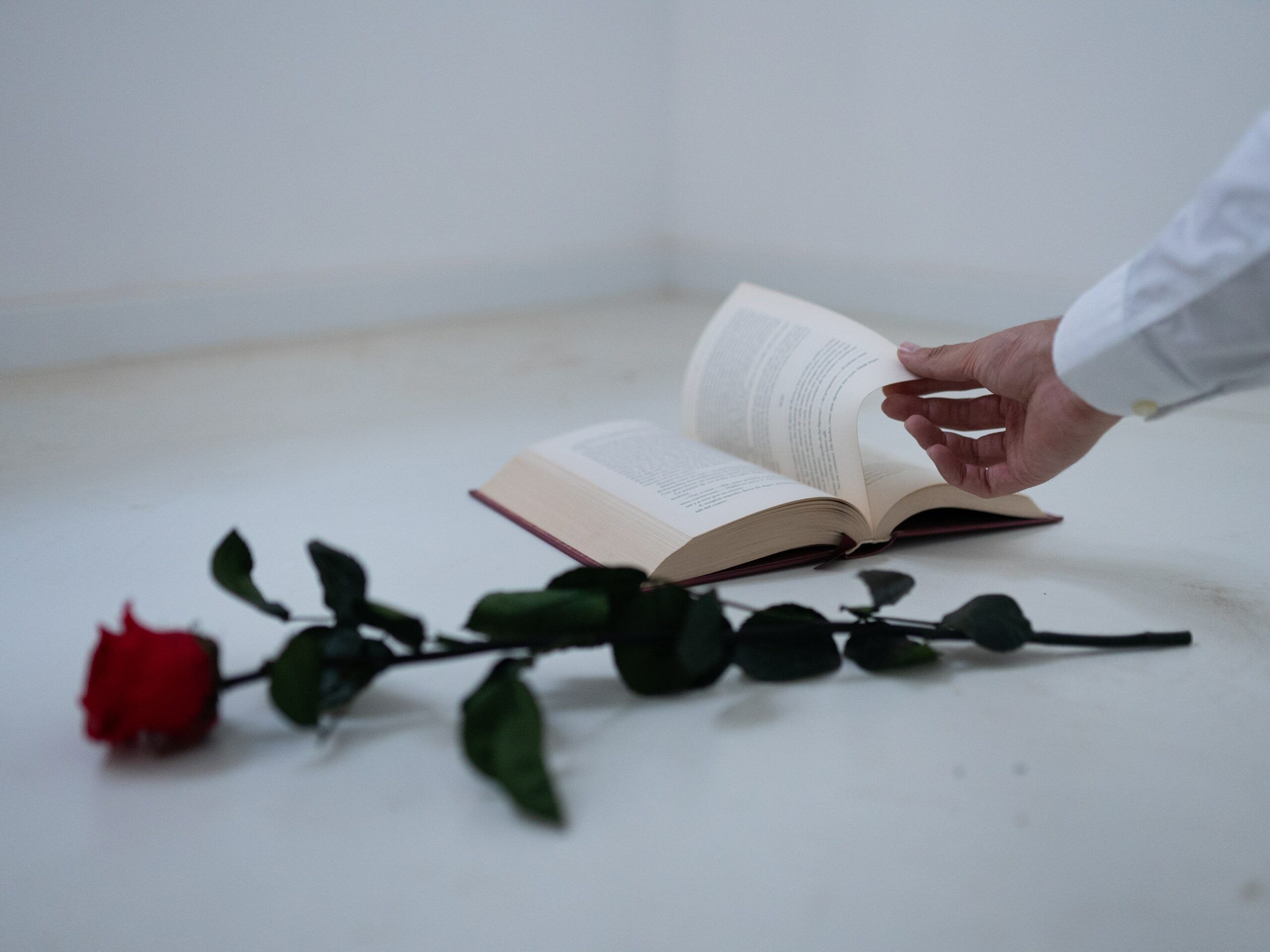 sant jordi