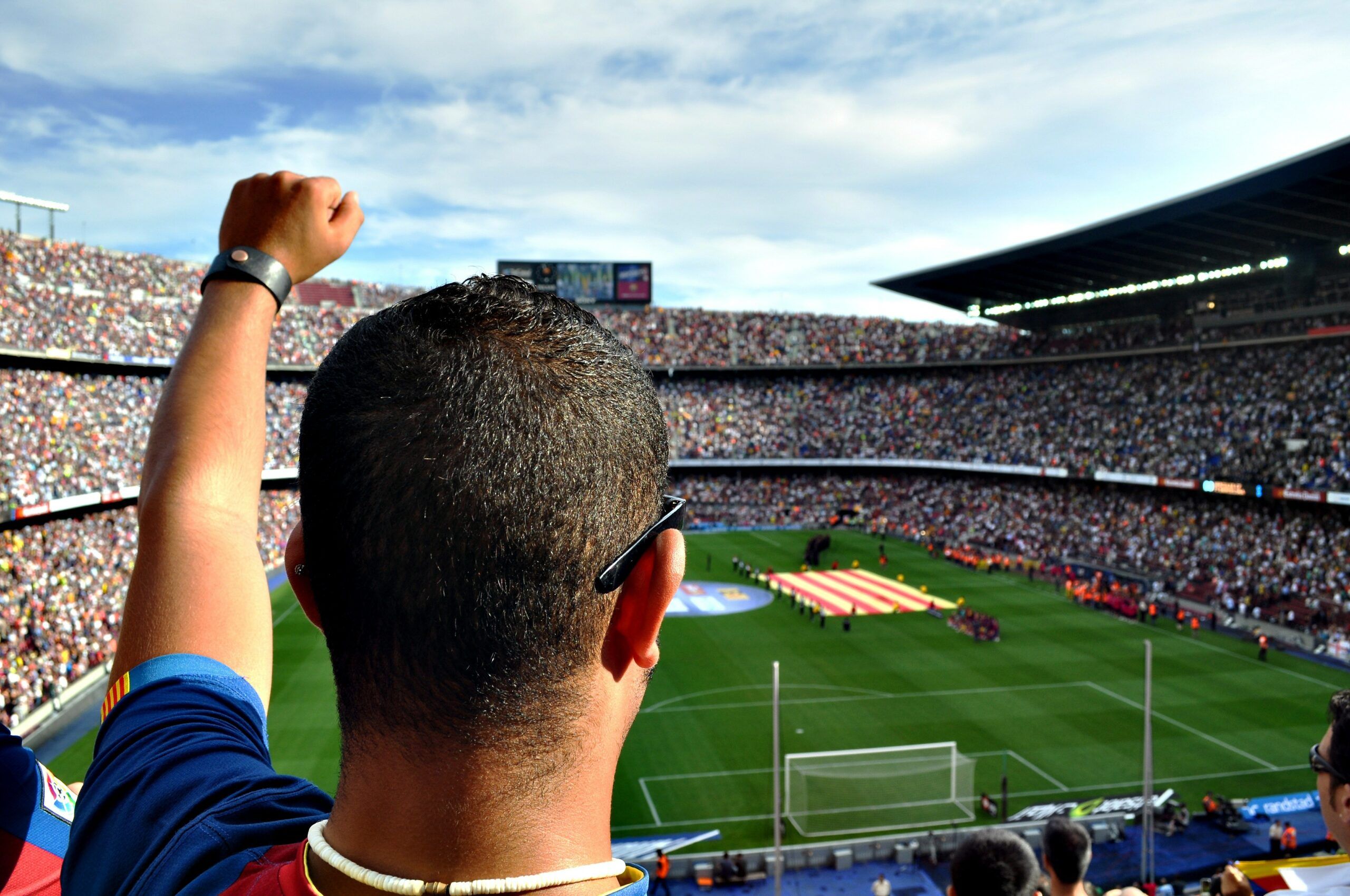 Navigating the Way to Professionalism in the Sports Industry