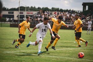 The Business of Sports: Understanding the Ecosystem