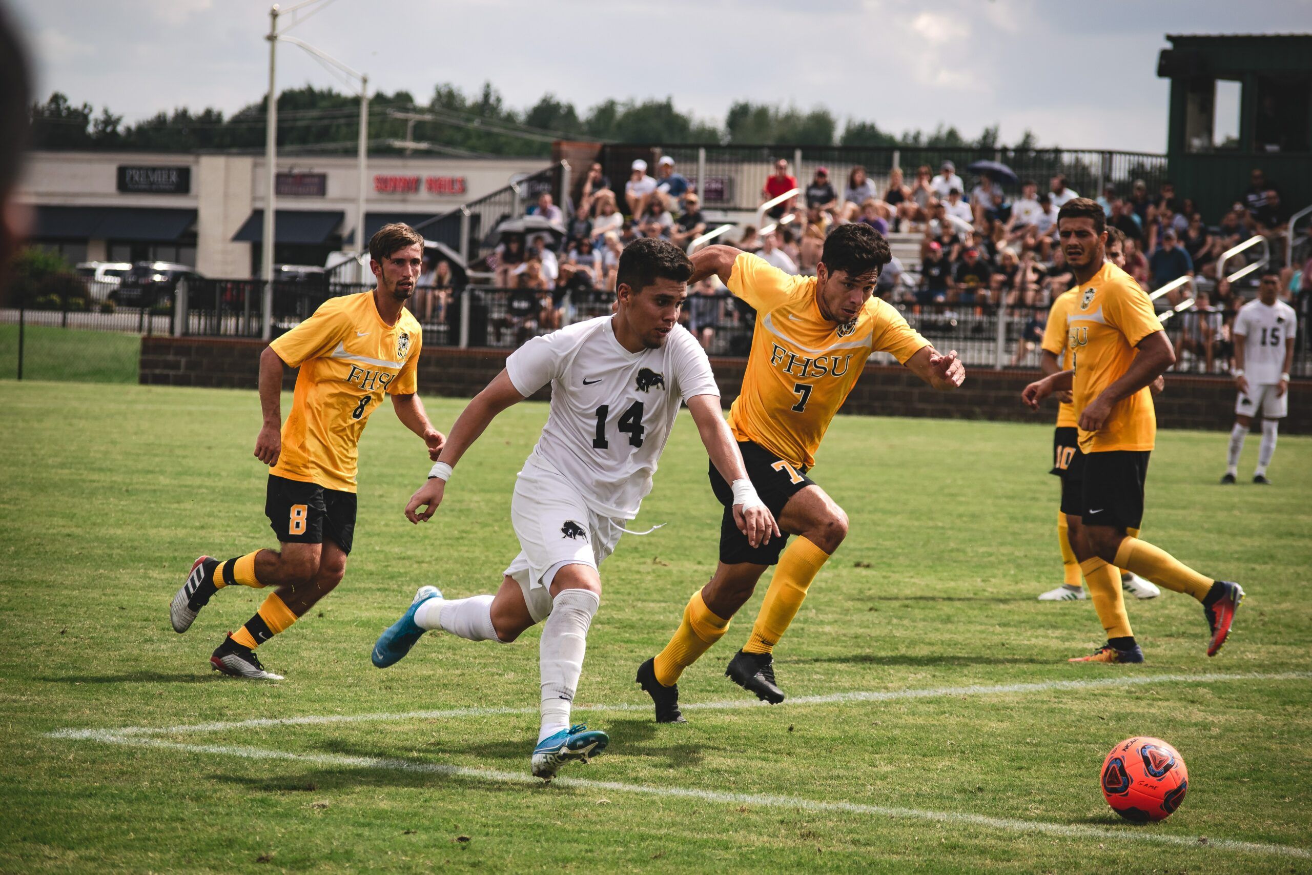 The Business of Sports: Understanding the Ecosystem