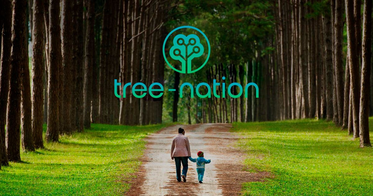 Tree Nation
